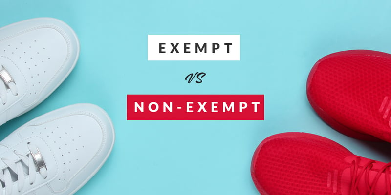 Exempt Vs Non Exempt With Text ?width=800&height=450&name=Exempt Vs Non Exempt With Text 